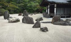 zen-meditazione-mindfulness-kyoto-libri